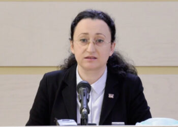 Ambasadorul Marii Britanii: N-am primit nicio cerere de la Interpol în privința lui Cavcaliuc sau Platon