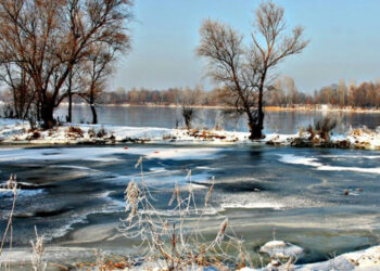 Tractoare japoneze pentru agricultorii din Republica Moldova