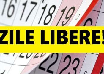 MMPS propune ca 7 martie să fie zi de odihnă