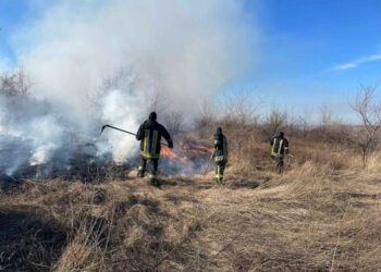 Incendiile de vegetație în creștere: 25 de cazuri în 2022