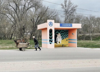 Majoritatea rutelor regulate din țară sunt suspendate, APOTA