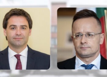 Vicepremierul Nicu Popescu efectuează o vizită de lucru la Budapesta