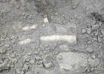 Opriți războiul!… și filmele despre război. Consemnări de Valeriu Vasilică