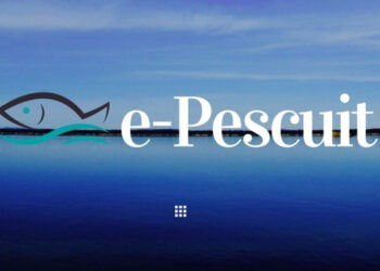 Permisele de pescuit pot fi obținute online