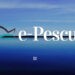 Permisele de pescuit pot fi obținute online