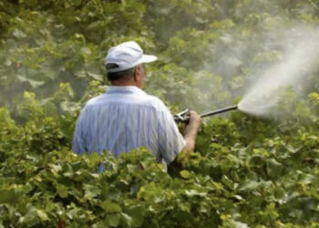 În Moldova anual se utilizează peste două mii de tone de pesticide