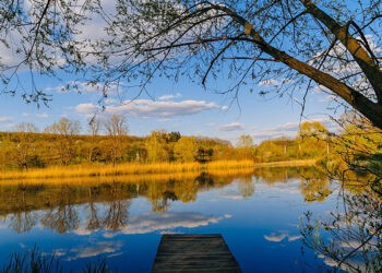 Rezervațiile naturale cu destinație științifică.  Ce știm despre ele?