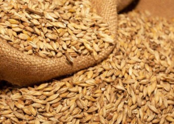 Ministrul finanțelor: Prima tranșă de la FMI va veni în luna mai