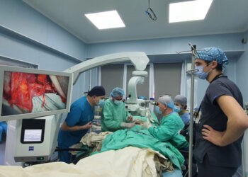 Alergia la puful de plop se dezvoltă ca urmare a sensibilizării față de polenuri, alergolog