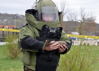 Patru misiuni de deminare și toate într-o singură zi! Una dintre ele a fost în satul Semeni