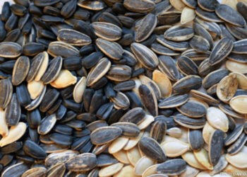 Războiul din vecinătate: cronica IPN de ieri până azi, 17 mai