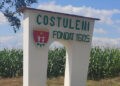 La Costuleni ploaia a adus prejudicii
