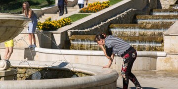 Cod galben de caniculă