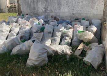 Ecologia este cea mai mare problemă în ziua de astăzi