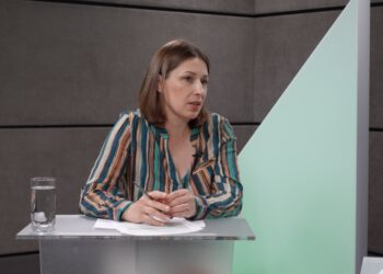 Liliana Vițu: Legea securității informaționale a fost promulgată