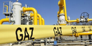 CUB cere sistarea reformei universitare și lansarea consultărilor publice