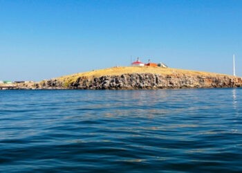 În iulie, Moldova va procura gazul la un preț mai mare