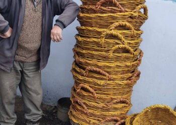 Ștefan Golimaz  de peste 40 de ani  dă o nouă viață loziei