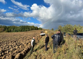 În raionul Ungheni se va mări suprafața de împădurire
