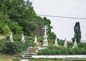 Mănăstirea Rudi în context istoric și natural