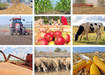 Un comitet va coordona asistența partenerilor în agricultură și dezvoltare rurală