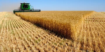 Fоrțа Fеrmiеrilоr înaintează revendicări Guvernului Recean