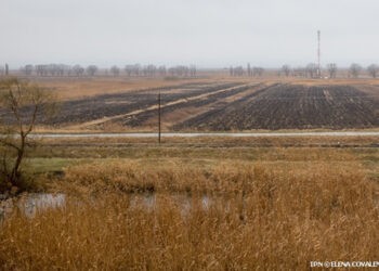 Statul își propune să investească în agricultură 3 miliarde de lei până în anul 2030