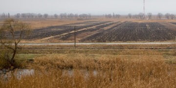 Statul își propune să investească în agricultură 3 miliarde de lei până în anul 2030