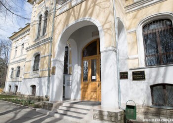 Elena Pintilei: Statul va trebui să găsească alt loc pentru colecțiile speciale ale Bibliotecii Naționale