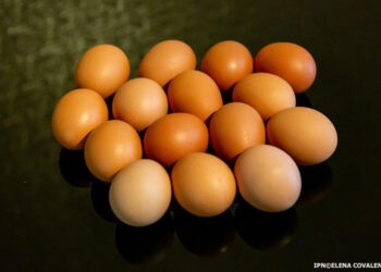 Moldova poate exporta în UE carne procesată de pasăre și ouă de consum