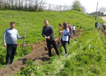 Salubrizare în comuna Măcărești