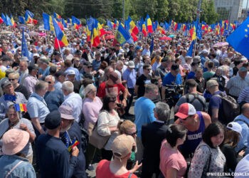 Parlamentul a votat hotărârea privind Rezoluția Adunării Moldova Europeană