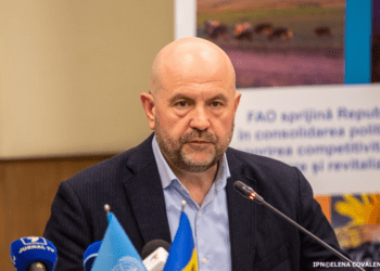 A fost creat Serviciul analiza prețurilor de piață