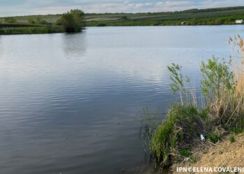 Crescătorii de pește vor beneficia de subvenții din partea statului