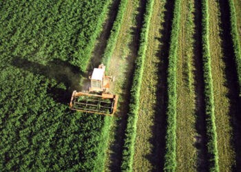 Statul va investi 55 de milioane de dolari în dezvoltarea sectorului agricol