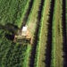 Statul va investi 55 de milioane de dolari în dezvoltarea sectorului agricol