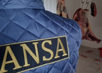 ANSA a pornit controale la mai mulți colectori de animale