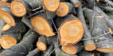 Încă 4 ani de închisoare pentru un deținut care a comis escrocherii cu lemne de foc