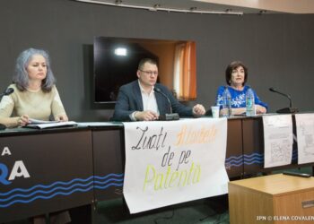 Reforma patentei de întreprinzător – reformă de dragul reformei, declarație