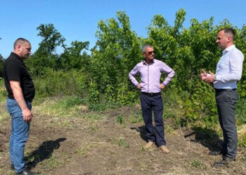 Starea pepinierei de la ÎS „Silva Centru”