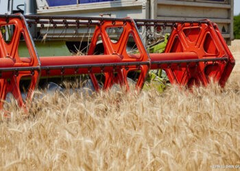 Împrumut de 50,1 mln euro pentru agricultură, ratificat de Parlament