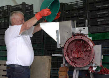 Agricultura – noi abordări