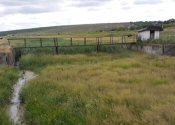 Legenda râului Delia