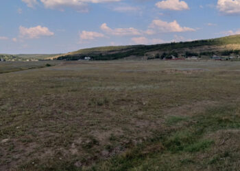 Prutule, apă de dor