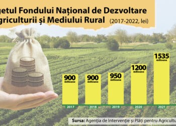 Subvențiile în agricultură: zeci de cauze penale, dar riscurile de corupție persistă
