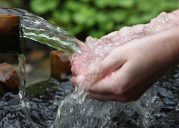 Izvorul de la Hrubă