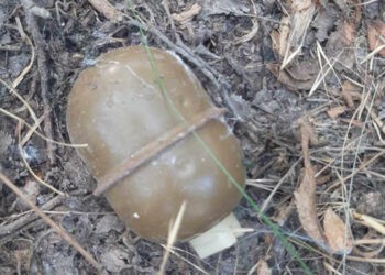 Descoperire de muniții în apropierea unui iaz  din Ungheni – angajații serviciului de prevenție  au intervеnit prompt