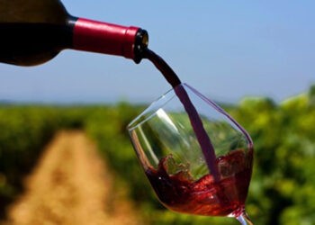 USAID lansează un program de granturi destinat exportatorilor de vinuri