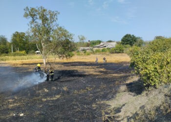 Cum trebuie să acționăm  în cazurile de incendii de vegetație