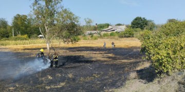 Cum trebuie să acționăm  în cazurile de incendii de vegetație